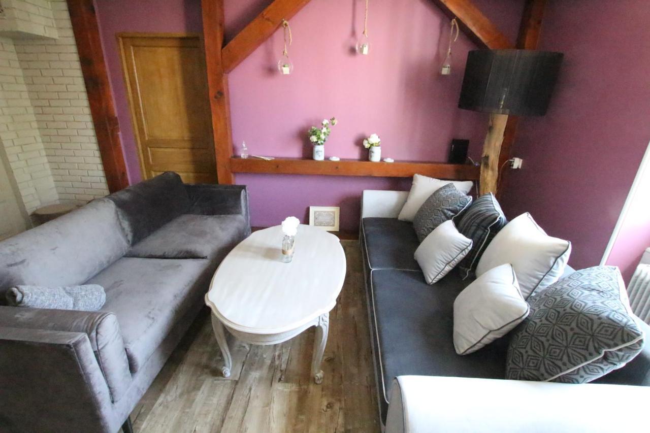 Colmar City Center - Apartment Duplex Marigny - Bookingalsace المظهر الخارجي الصورة
